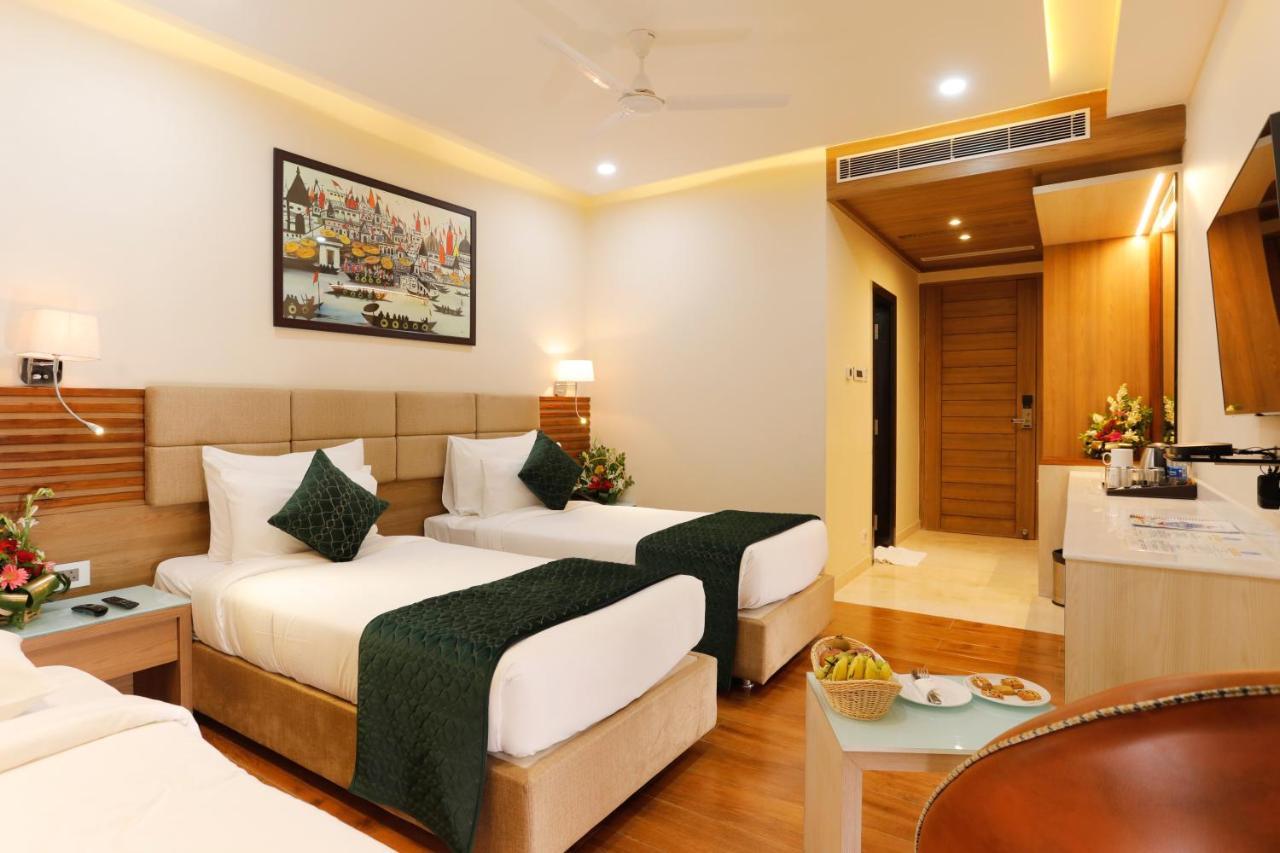 Dolphin Grand
